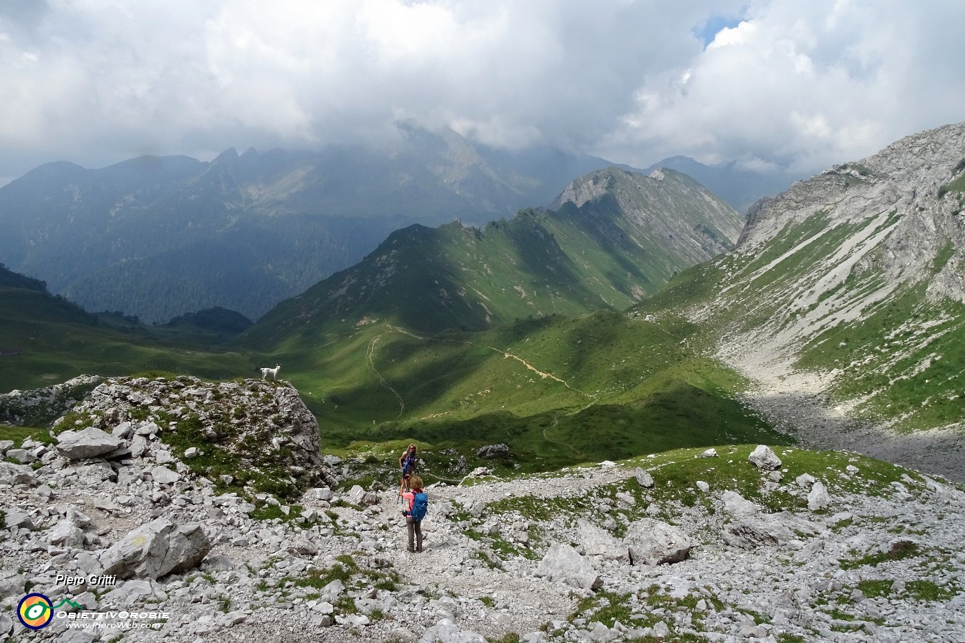 69 Stelina in posa sul roccione.JPG